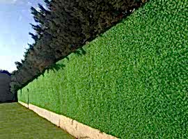 Çimli Çit